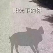 小眼睛看C老师