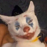 Clown_Cat