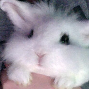 Rob3r7 copilu minune