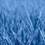 blue grass