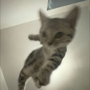 xzyss - steam id 76561199093850498