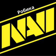 NaVi Робика