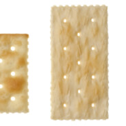 Unsalted Saltine