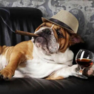 宇宙无敌暴风机械战神