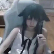 猪脑过载我用牛牛思考