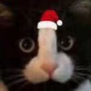 卓美百货跳远冠军方圆