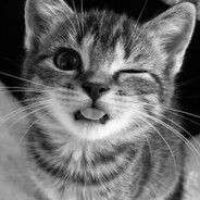 ๋