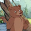 O Pequeno Urso