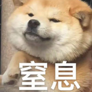 你也不想姐姐没有大电和301吧