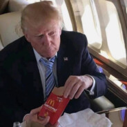 爱吃麦当劳的唐纳德