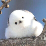 是写给你的思念吗