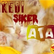 SariKedi
