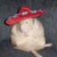 Swashbucklin&#039; Cholo Rat