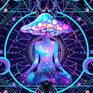 mushroom - steam id 76561199121897037
