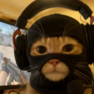 McCall - steam id 76561198213770555