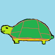 turtle