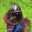 andorsjoblom
