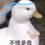肥鸭子
