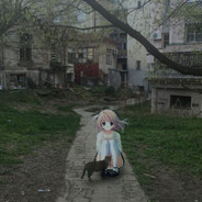 猫美