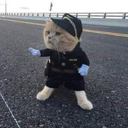 peepeepolice