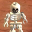 Skeletal