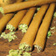 BluntSquad
