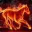 FireHorse