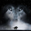 Wolf Totem