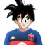 Gohan de Tigre