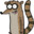 Raccoon