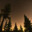 whywy