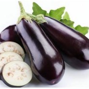 卖核弹的小女孩