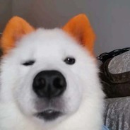 土豆怪