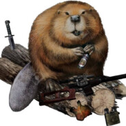 BOBR - steam id 76561198053793258