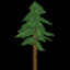 A sentient fir tree