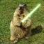 MarmotaJedi