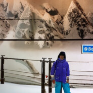 哪里能买到便宜有好吃的榴莲啊