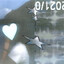 jt_shen_o.O