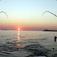 Wolverine - steam id 76561197960692122