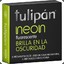 Tulipan