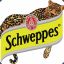 Mr. Shweps