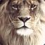 Lion|LK_Clab