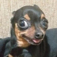 SL1M123