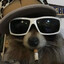 SrRaccoon
