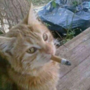 Водитель танка