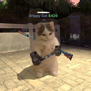 palm - steam id 76561199501709617