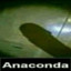 Anaconda