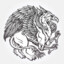 GriffiN