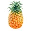 pineapple