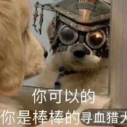 喜欢玩恶灵姐姐的哨兵.